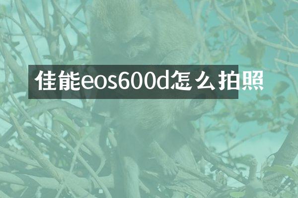 佳能eos600d怎么拍照
