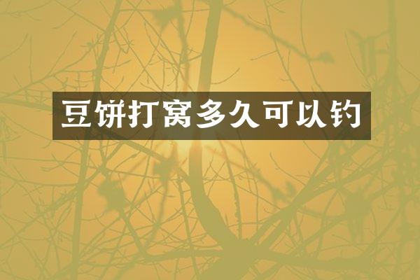 豆饼打窝多久可以钓