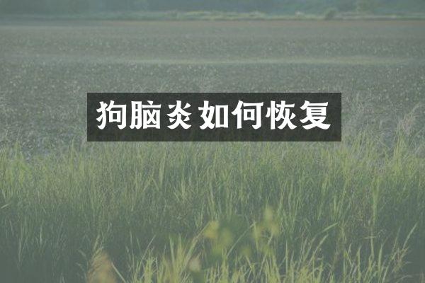 狗脑炎如何恢复