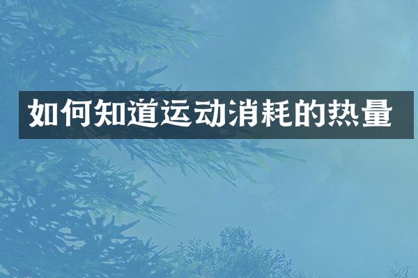 如何知道运动消耗的热量