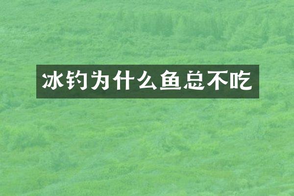 冰钓为什么鱼总不吃