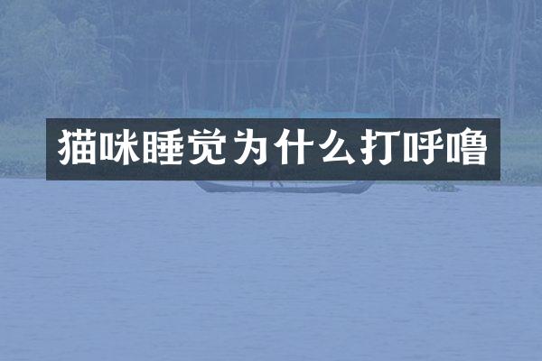 猫咪睡觉为什么打呼噜