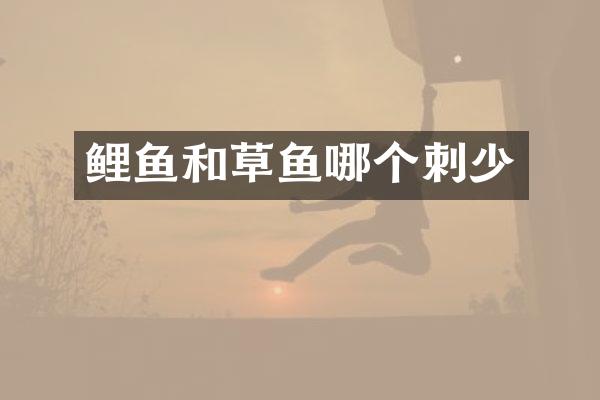 鲤鱼和草鱼哪个刺少