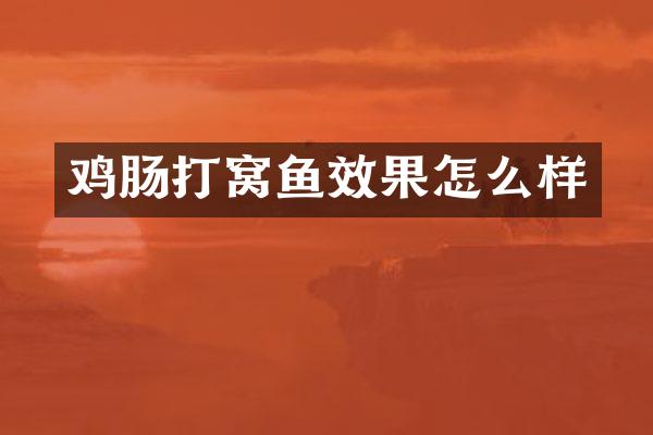 鸡肠打窝鱼效果怎么样