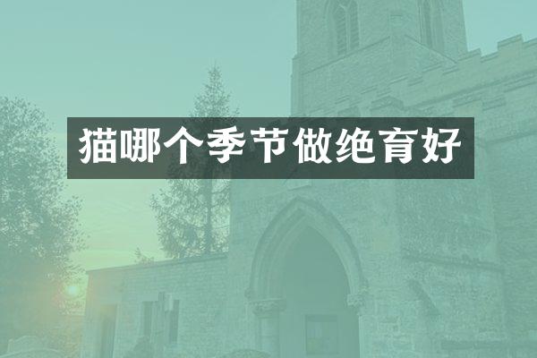 猫哪个季节做绝育好