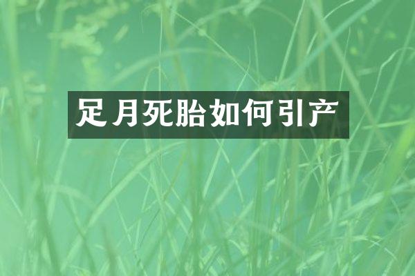 足月死胎如何引产