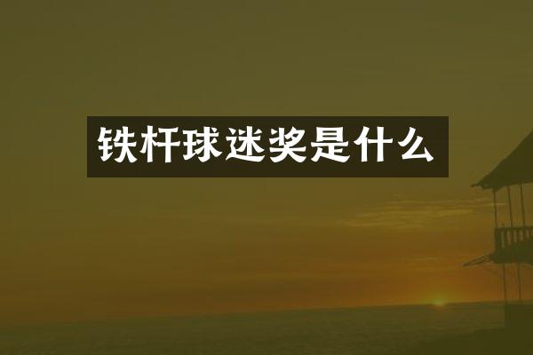 铁杆球迷奖是什么