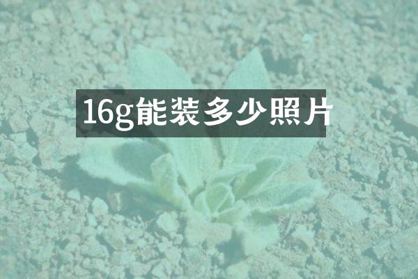 16g能装多少照片