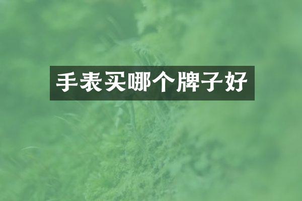 手表买哪个牌子好