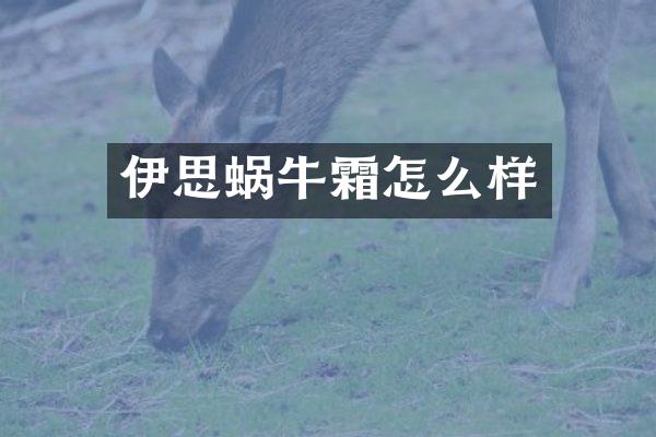 伊思蜗牛霜怎么样