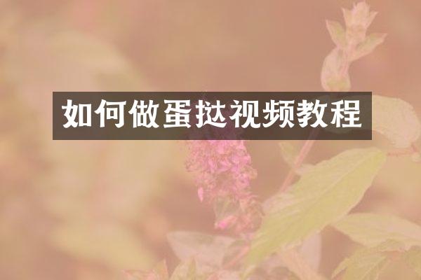 如何做蛋挞视频教程