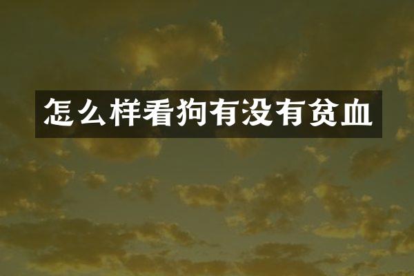 怎么样看狗有没有贫血