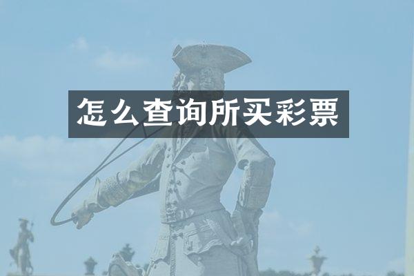 怎么查询所买彩票