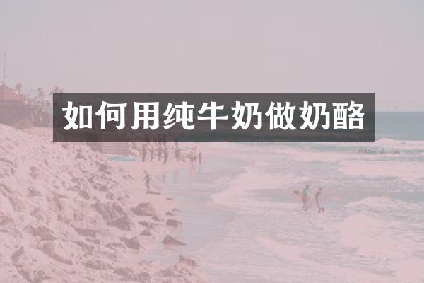 如何用纯牛奶做奶酪