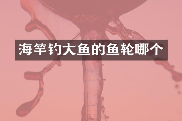 海竿钓大鱼的鱼轮哪个