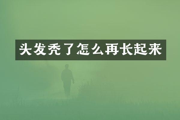 头发秃了怎么再长起来