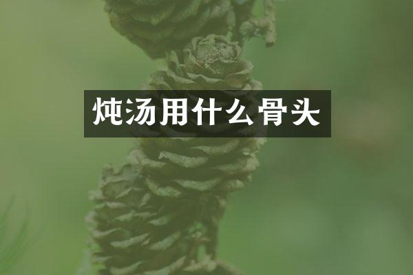 炖汤用什么骨头