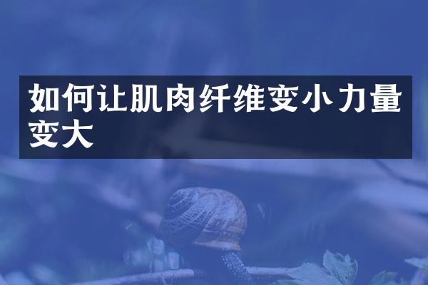 如何让肌肉纤维变小力量变大