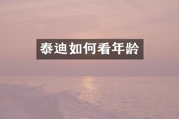 泰迪如何看年龄