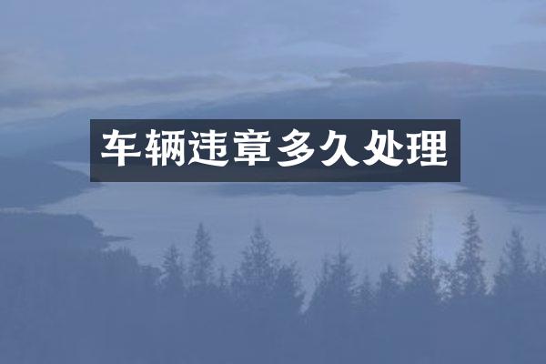 车辆违章多久处理