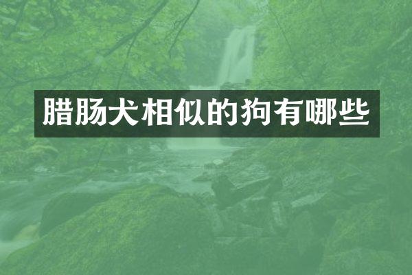 腊肠犬相似的狗有哪些