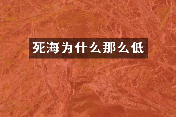 死海为什么那么低