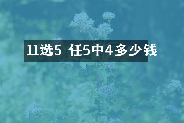 11选5 任5中4多少钱