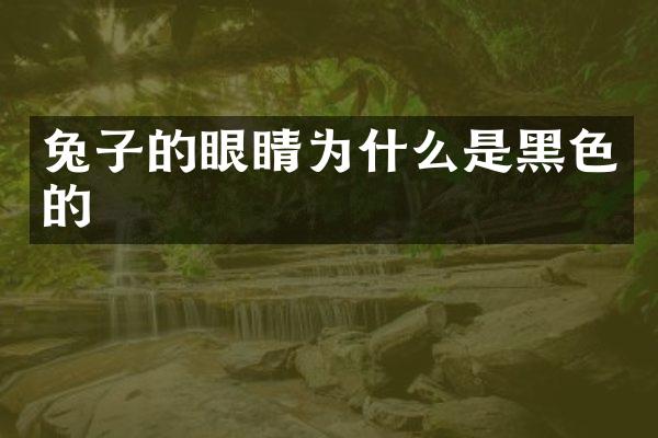 兔子的眼睛为什么是黑色的