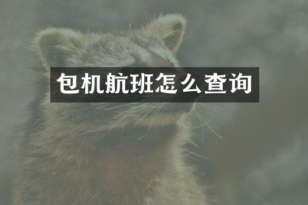 包机航班怎么查询