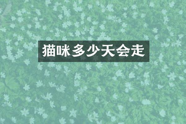 猫咪多少天会走