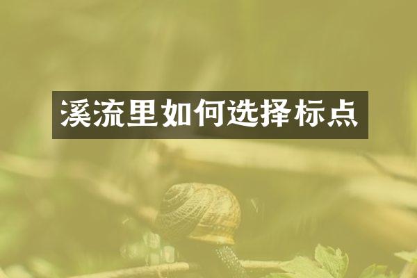溪流里如何选择标点