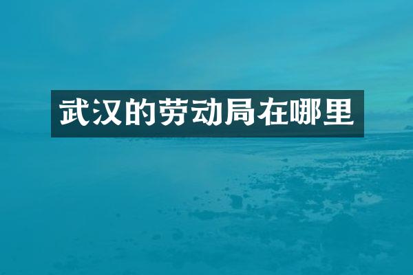 武汉的劳动局在哪里