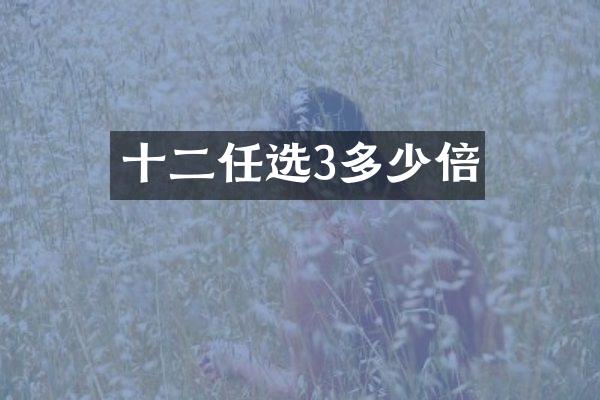 十二任选3多少倍