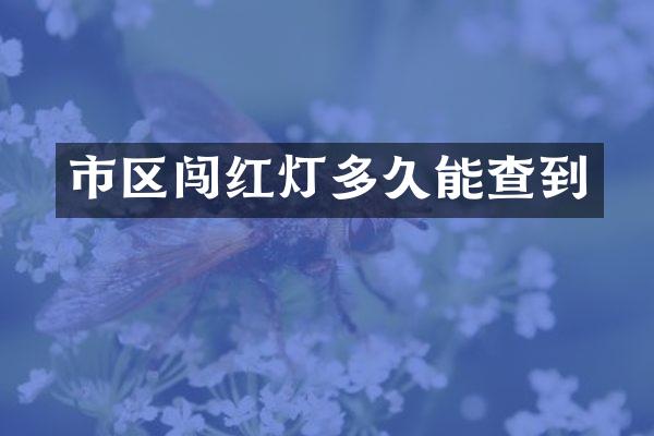 市区闯红灯多久能查到