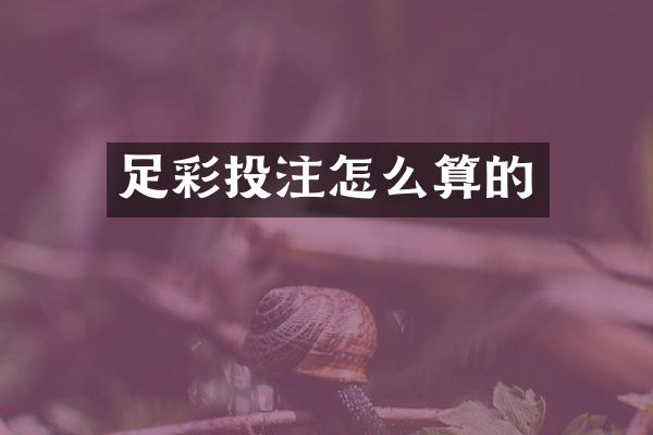 足彩投注怎么算的