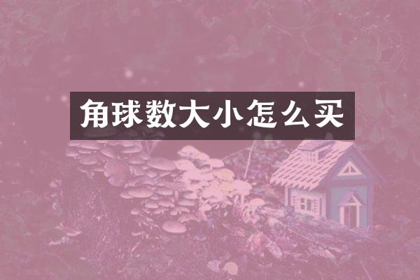 角球数大小怎么买
