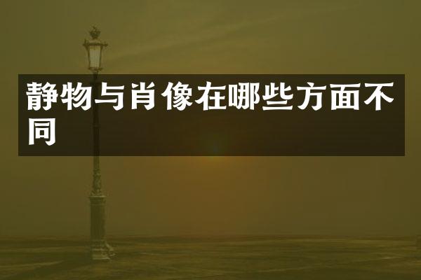 静物与肖像在哪些方面不同