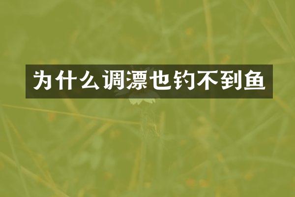 为什么调漂也钓不到鱼