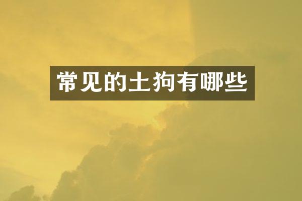 常见的土狗有哪些