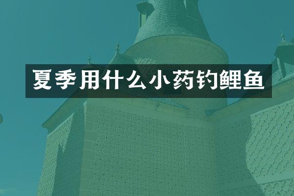 夏季用什么小药钓鲤鱼