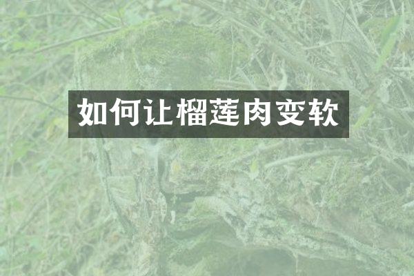 如何让榴莲肉变软