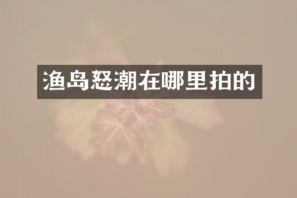 渔岛怒潮在哪里拍的