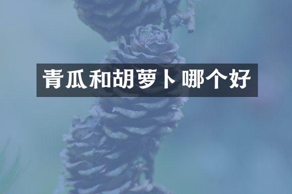 青瓜和胡萝卜哪个好