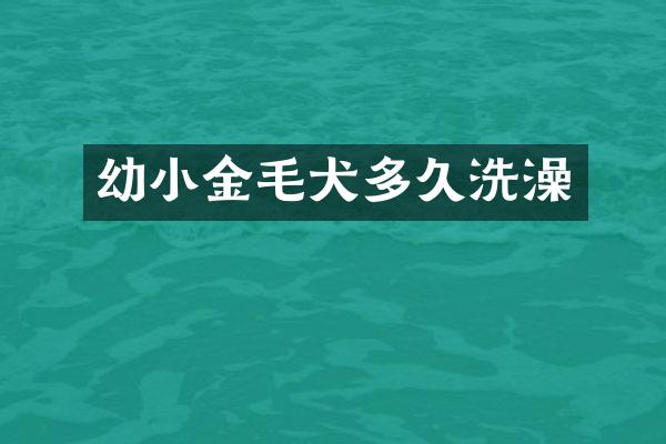 幼小金毛犬多久洗澡