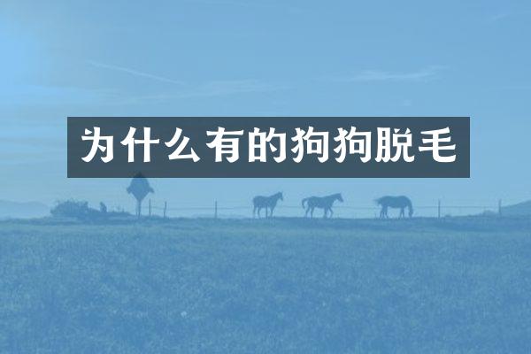 为什么有的狗狗脱毛