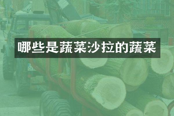 哪些是蔬菜沙拉的蔬菜