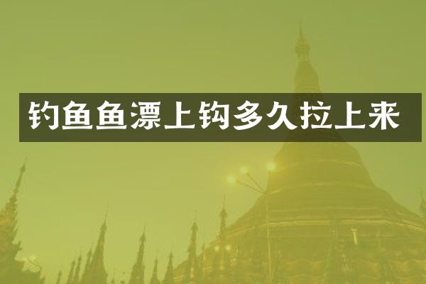 钓鱼鱼漂上钩多久拉上来