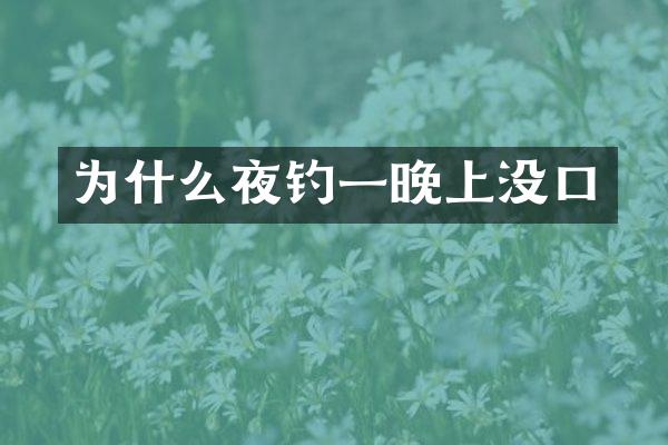 为什么夜钓一晚上没口