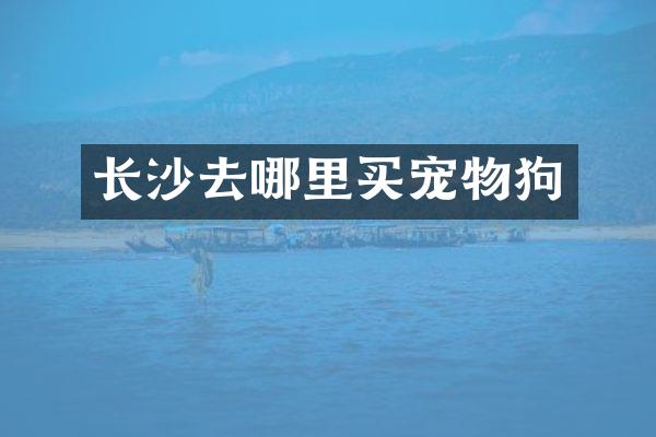长沙去哪里买宠物狗