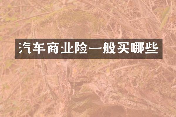 汽车商业险一般买哪些